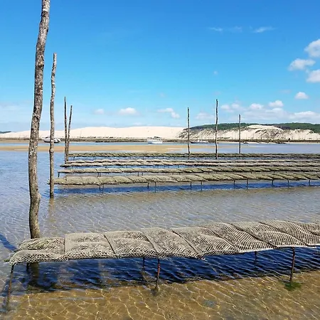T4 Duplex Centre Arcachon, Terrasse Sud, Proche Et Commerces, Parking Inclus - Fr-1-474-3 Apartman Arcachon
